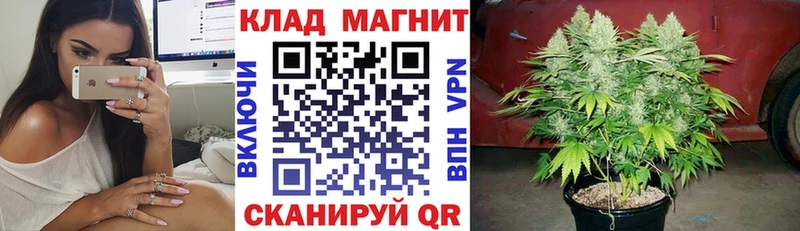 Магазины продажи наркотиков Новоалександровск Галлюциногенные грибы  Каннабис  Метадон  ГАШ  Alpha-PVP  Меф 