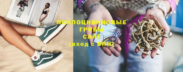 амф Сафоново